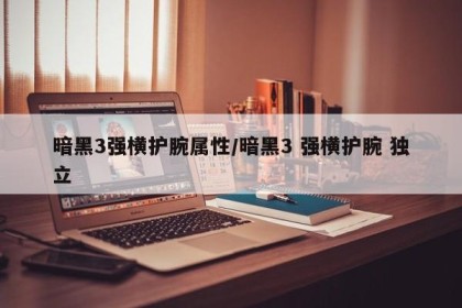 暗黑3强横护腕属性/暗黑3 强横护腕 独立