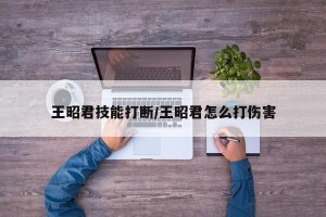 王昭君技能打断/王昭君怎么打伤害