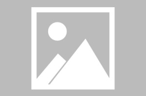山东省医药技师学院:山东省医药技师学院怎么样