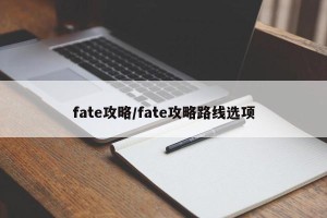 fate攻略/fate攻略路线选项