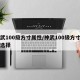 神武100级方寸属性/神武100级方寸属性选择