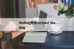 feeling学院/school feeling