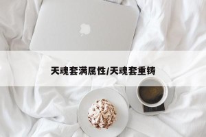 天魂套满属性/天魂套重铸