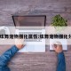 qq炫舞宠物强化属性:炫舞宠物强化分配