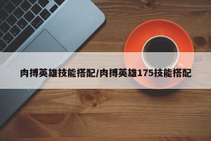 肉搏英雄技能搭配/肉搏英雄175技能搭配