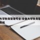 安徽大学财务管理专业:安徽大学财务管理专业分数线