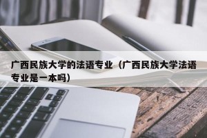 广西民族大学的法语专业（广西民族大学法语专业是一本吗）