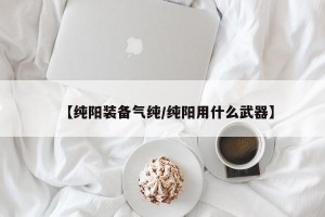 【纯阳装备气纯/纯阳用什么武器】