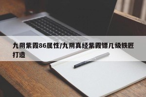 九阴紫霞86属性/九阴真经紫霞镖几级铁匠打造