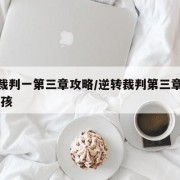 逆转裁判一第三章攻略/逆转裁判第三章攻略 小男孩